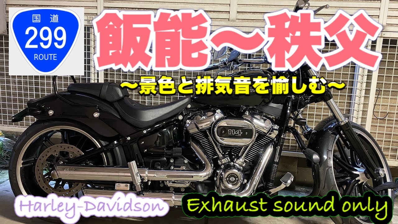 【バイク】絶景と音を愉しむ日帰りツーリング★国道299号線（飯能～秩父）～Exhaust sound only～【排気音】#54