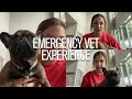 EMERGENCY Vet Experience | STORY TIME