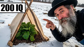 The Amish Secret to Maximizing Harvest in Every Season