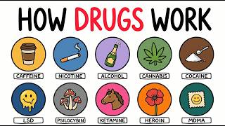How Every Drug ACTUALLY Works — 12 Drugs in 13 Minutes