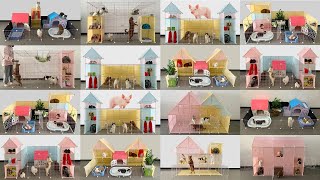 Top 20 How To Make Play Area & House For Pomeranian Puppies & Kitten At Home Ideas  Mr Pet Family 1