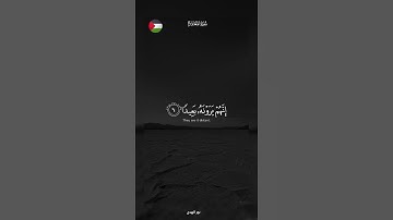✨️ الحمد لله ! 🇵🇸🍉#قرآن #اكسبلور #تلاوة_خاشعة #islamic #المصحف #فلسطين #غزة #fyp #palestine