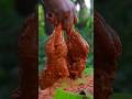 Best Chicken Leg Tandoori #shorts