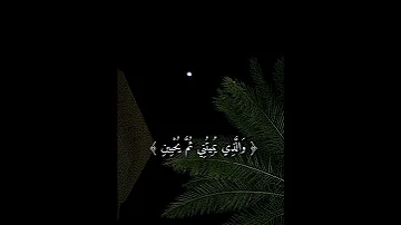 القران الكريم وإذا مرضت فهو يشفين Shorts 