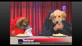 Morandé Con Compañía La Presentación De El Restocan