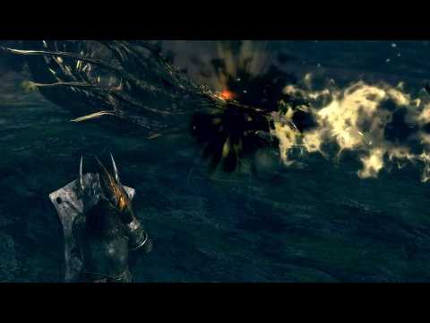 Dark Souls - Cy's First Kalameet Attempt