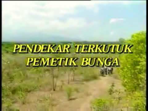 Video: Apakah yang dimaksudkan dengan pemetik bunga?