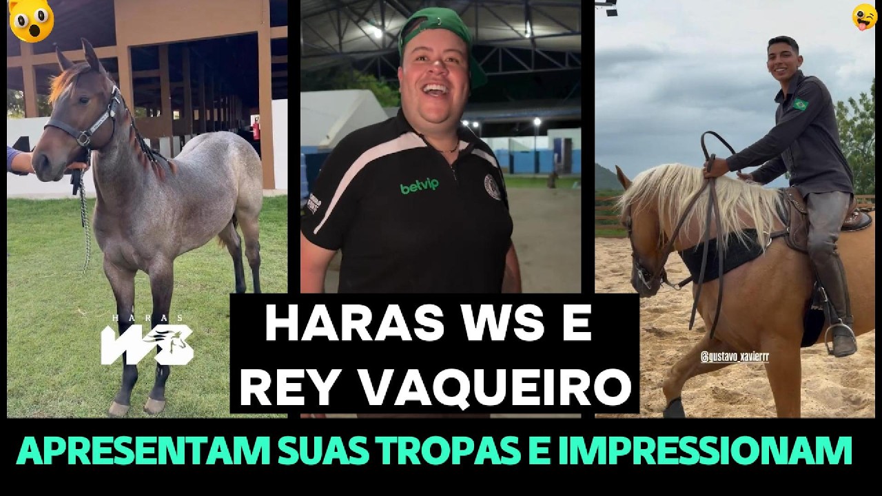 HARAS DE WESLEY SAFADÃO E REY VAQUEIRO APRESENTAM SUAS TROPAS