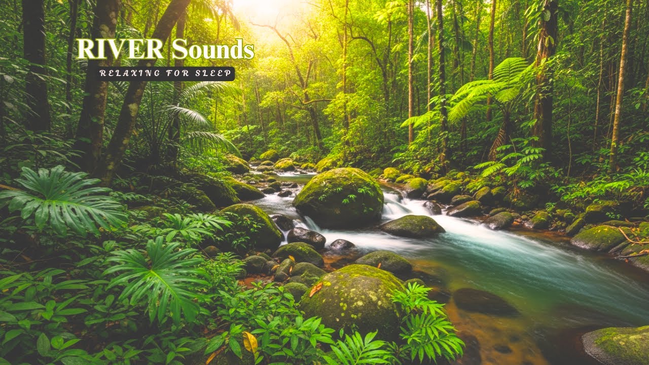 Relaxing River Flow for Sleep, Meditation, and Stress Relief