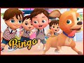 bingo | Comptines et chansons pour enfants | Banana Cartoon LE Français