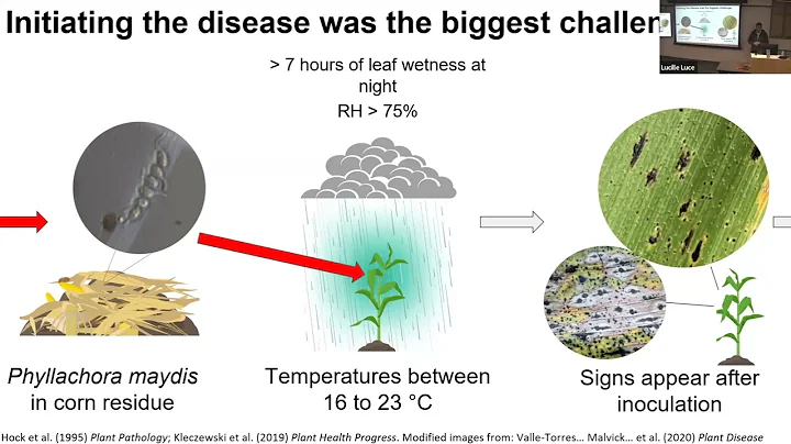 José Solórzano: Developing methods to study tar spot, an emerging disease threatening corn ...
