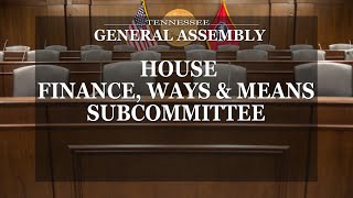 House - Finance, Ways & Means Subcommittee - March 24, 2021