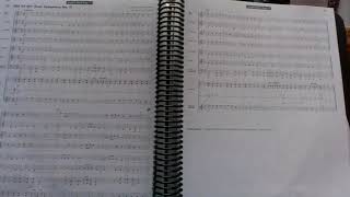57: Ode to Joy (ACS BANDS)