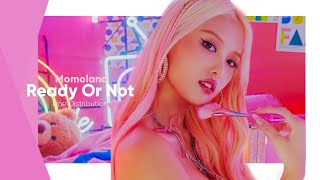 Momoland-Ready Or Not [Line Distribution]