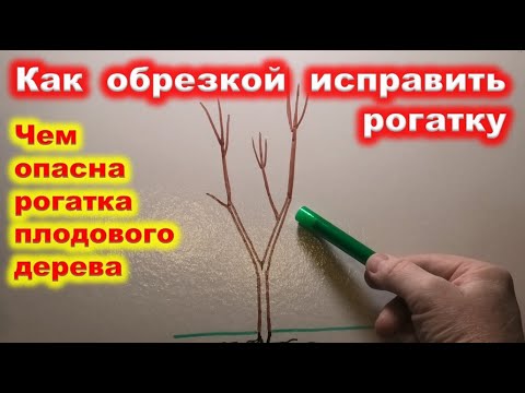 Исправление КРОНЫ с РОГАТКОЙ - YouTube