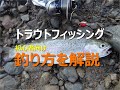 【渓流ルアー】ニジマスの釣り方解説 の動画、YouTube動画。