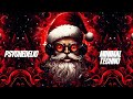 DR. SANTA - Trippy Psychedelic Minimal Techno Mix 2023 Christmas