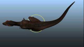 rex walk cycle top view.avi
