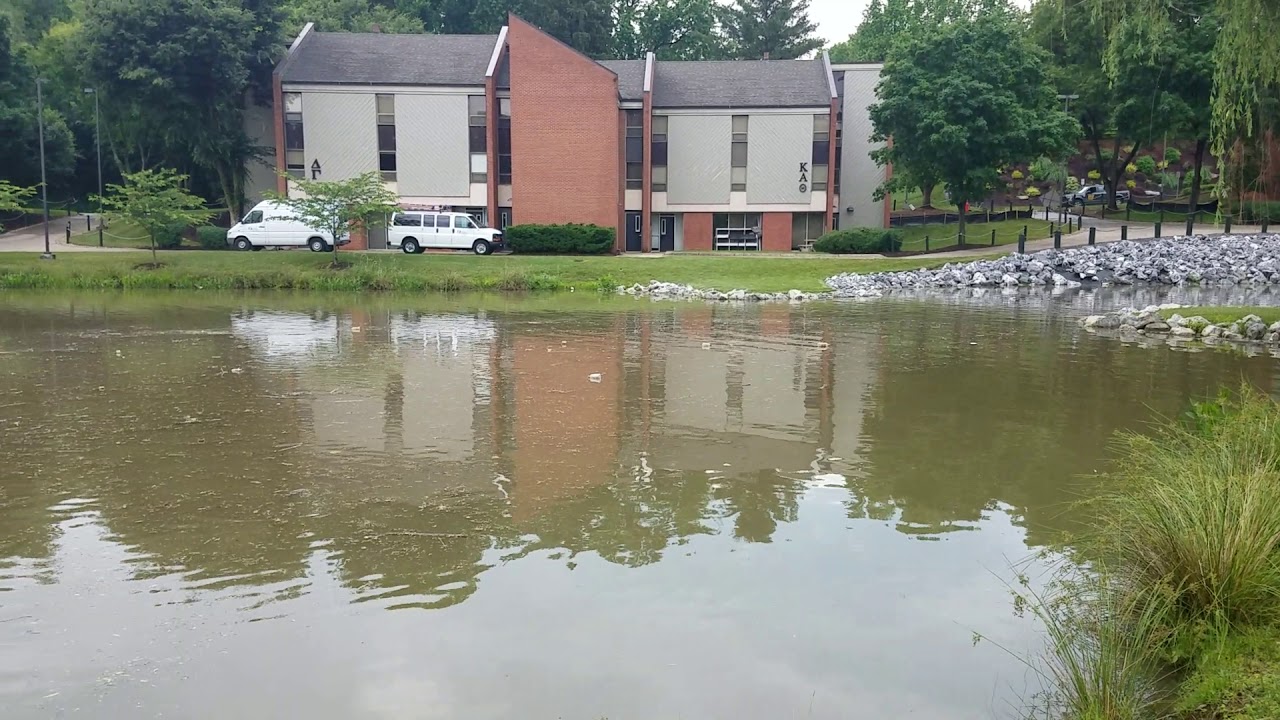Newman Lake at JMU after a rain storm. YouTube