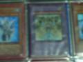 My newly updated yugioh card collection