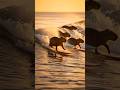 Capybara and friends riding the sea breeze! 🐹🌊#capybara #lovelymoments #cuteanimals #survival