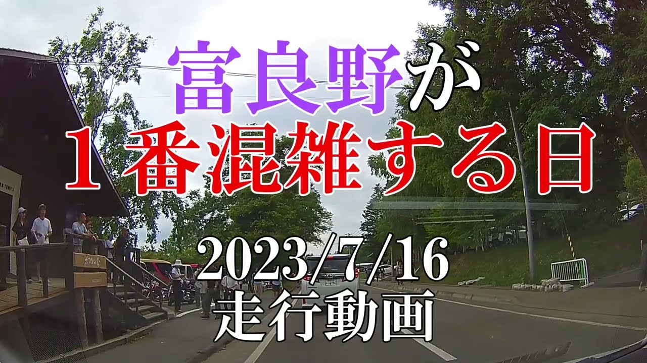 【北海道 富良野】走行動画～富良野が一番混雑する日　ファーム富田～カンパーナ六花亭～富良野市街地～中富良野市街地