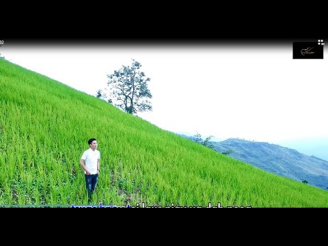 Nuj Sua Xiong - Wb Daim Ntawv Tsis Zoo (Official Music Video)