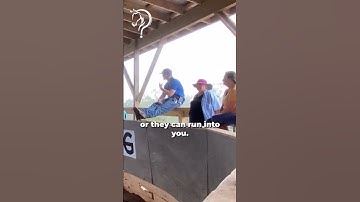 Dealing With Spooky And Buddy Sour Horses! Part 1! | The Horse Guru-Michael Gascon