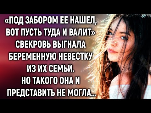 Видео: Приемащо куче на седмицата - Софи