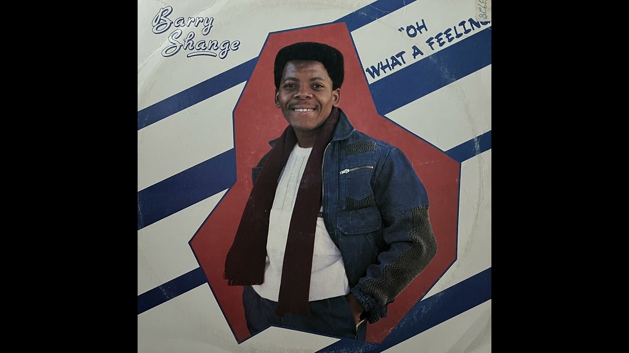 Barry Shange - Searching For Your Love