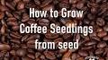 Video for Grow Café
