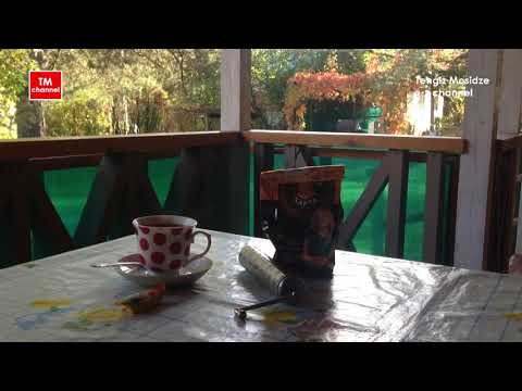 Hojas de otoño. Autumn leaves. Осенние листья. ყვითელი ფოთლები.