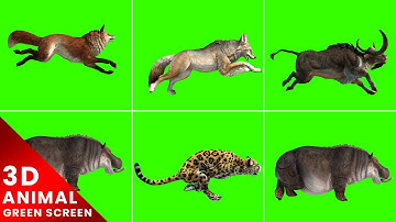 3D Animated Animals Running Green Screen For Editing For Free