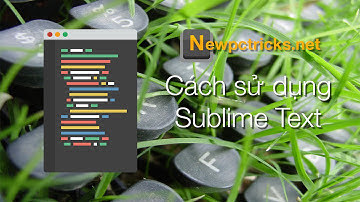 Tổng quát Series Cách sử dụng Sublime Text
