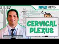 Neurology | Cervical Plexus