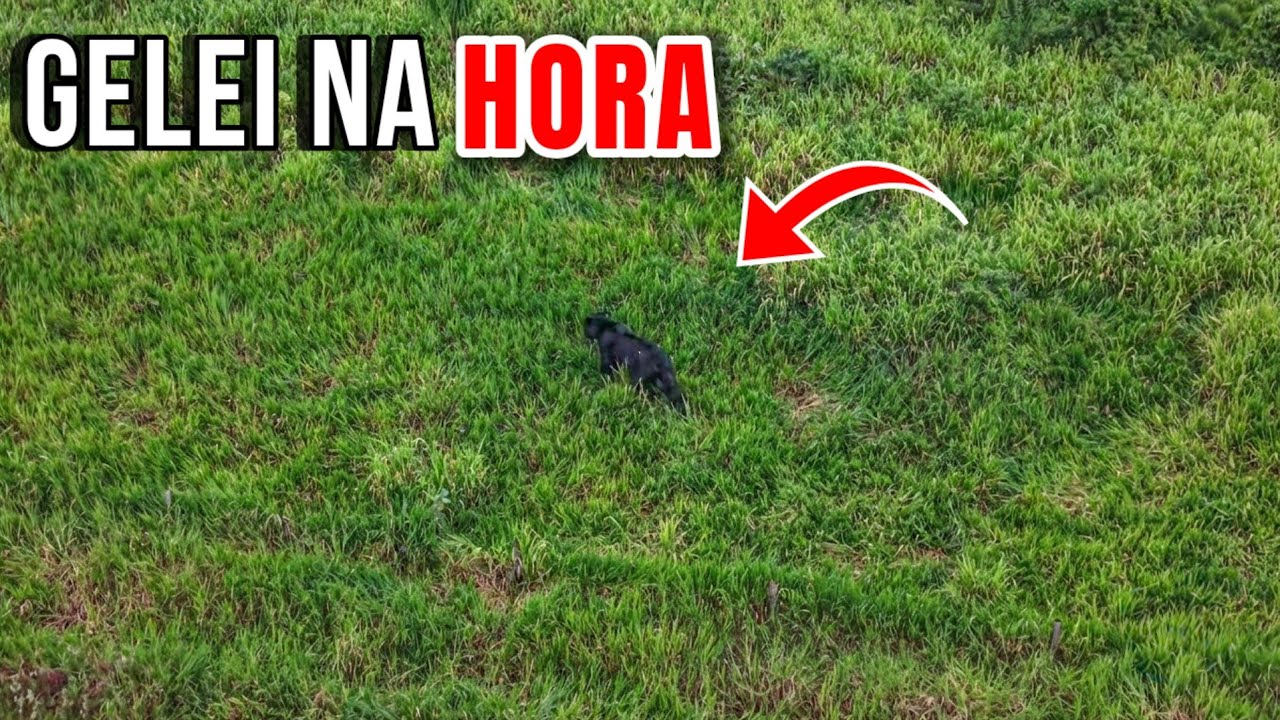 O QUE O DRONE REGISTROU ME ESPANTOU — FUI VER DE PERTO E NÃO ACREDITEI