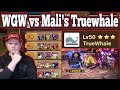 WGW vs Rank 1 Malicious - Summoners War