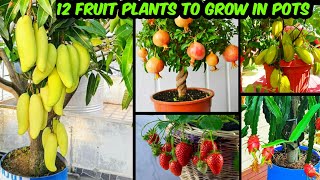 गमले में ढेर सारे फल देने वाले 12 फ्रूट प्लांट | Fruit Plants To Grow In Pots & Get Lots Of Fruits screenshot 1