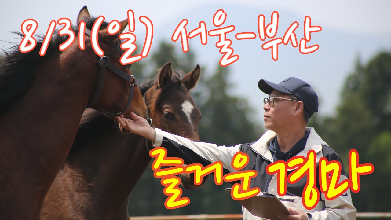 김호경마 8월 31일 일요일 서울-부산 경마방송!