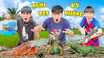 Nhận Nuôi Hai Em Pet Kỳ Nhông Mini VIỆT NAM | Anh Tóc Xoăn
