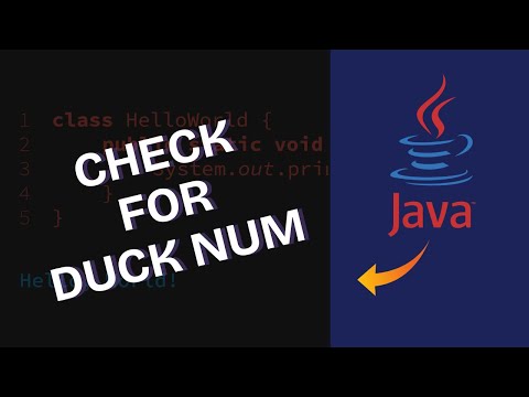 How to Check Duck Number in Java 2025?
