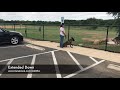 Aggressive Belgian Malinois Aggressive Belgian Malinois