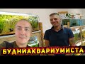 В ГОСТЯХ  У АРТЕМА БУДНИ АКВАРИУМИСТА!