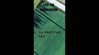 Transforma tu Vida: Ley de la Atracción en Acción