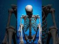 What Happens If You Stop Eating Protein for 10 Days? 😨 | Human Body Effects