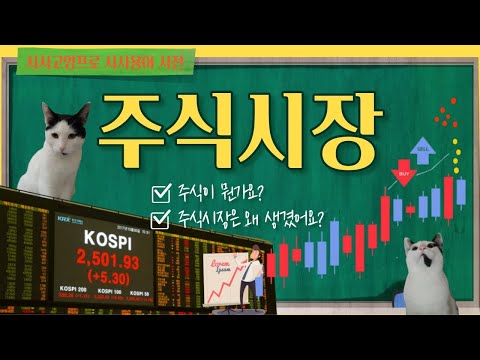 ★주식 초보 필수시청★ 주식시장은 왜 생겨났을까, 주식의 개념과 주식시장 특징