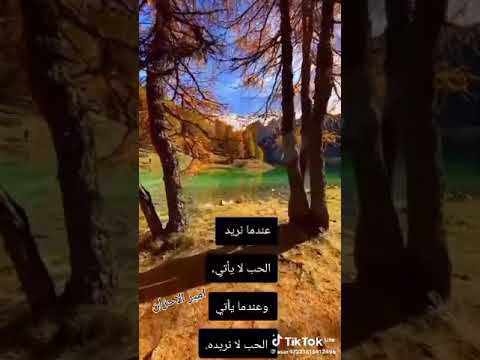 يا ريتك يا عينى تدارى حنيني