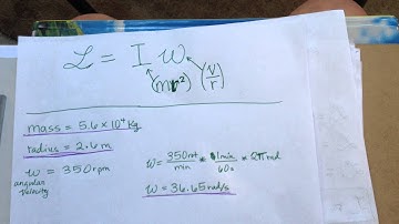 Kara Fellner- Reassessment Video- Angular Momentum Principle