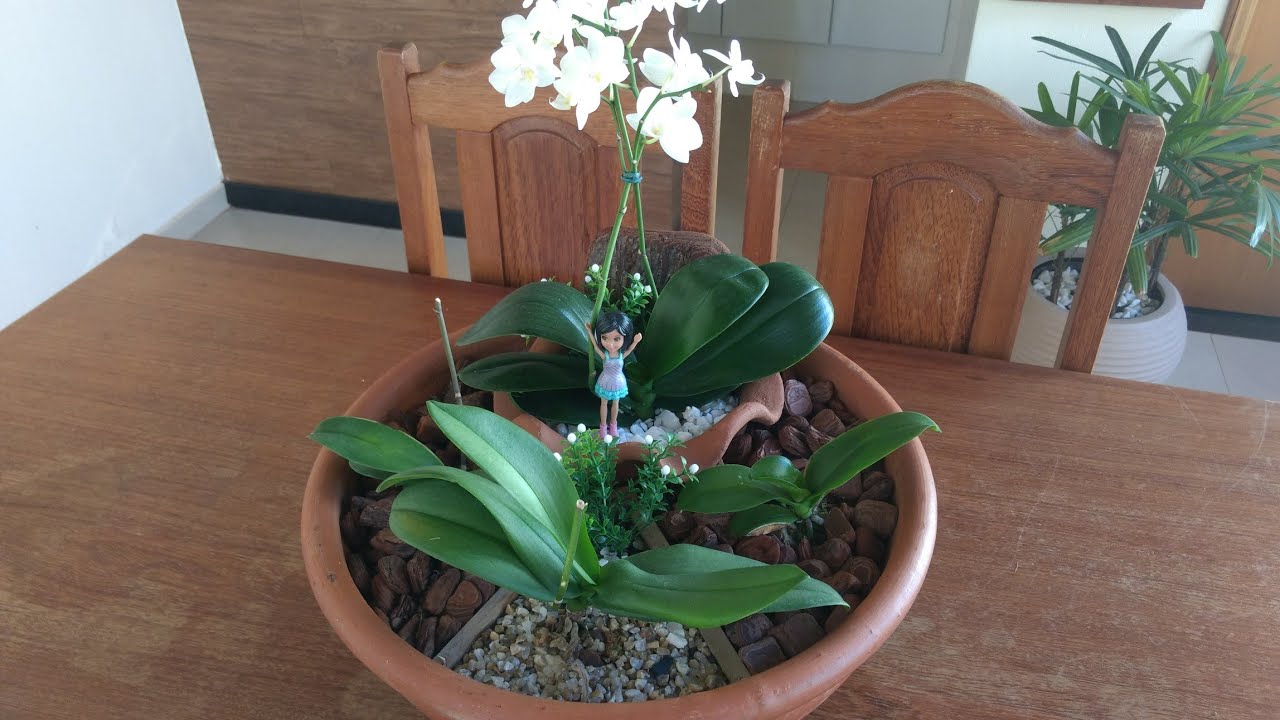 COMO FAZER UM ARRANJO NATURAL DE ORQUIDEAS