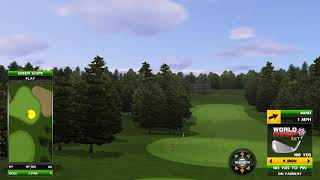 Golden Tee Great Shot on Pine Meadow